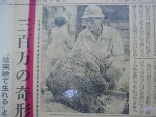 白蟻施工 記事1