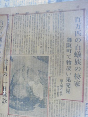 白蟻施工 記事3